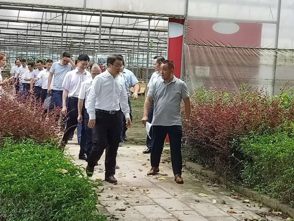 1594865637707856.jpg 图片